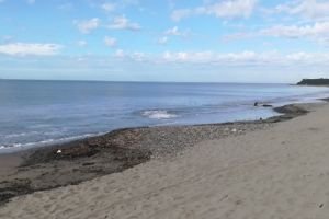 playa boca de tomates