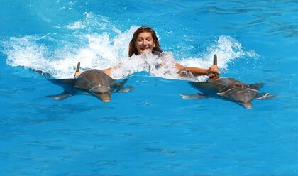 Dolphin Discovery