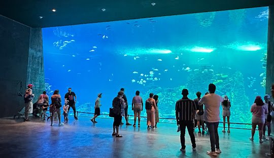 playa norte - acuario de Mazatlán