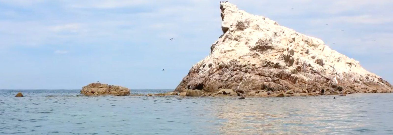 Isla San Jorge