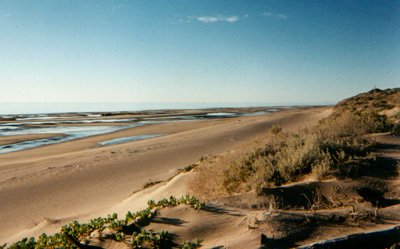 Playa El Desemboque Sonora