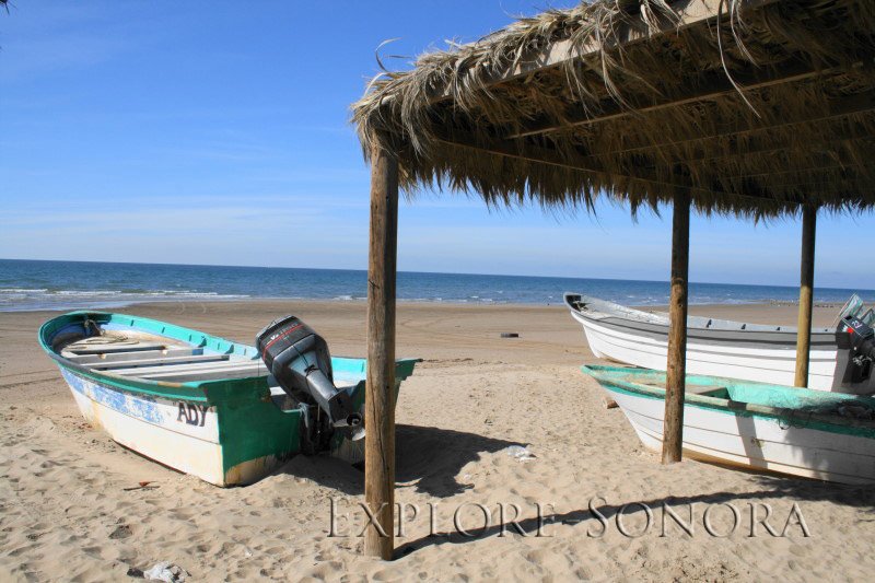 Playa El Desemboque Sonora