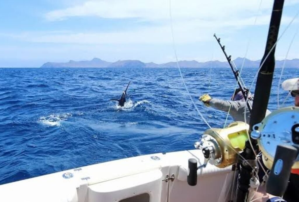 pesca en sonora