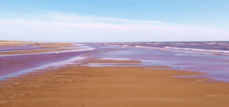Playa El Desemboque Sonora