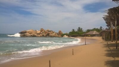 playa tortuga Guerrero