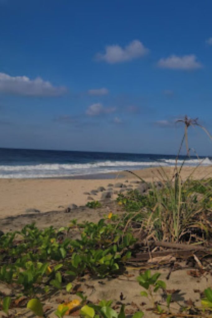 Playas de Lo de Marcos