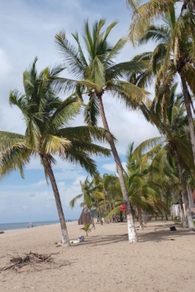playas de nayarit