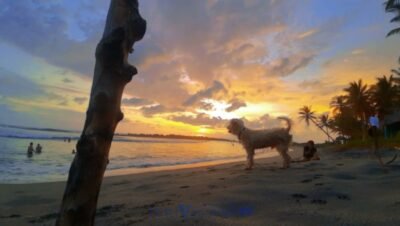 Playa San Benito