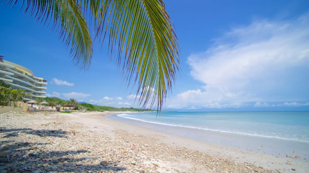 punta de mita