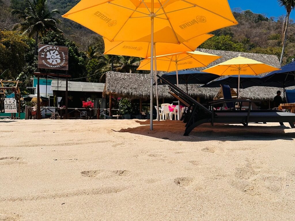 que comer en playa las ánimas